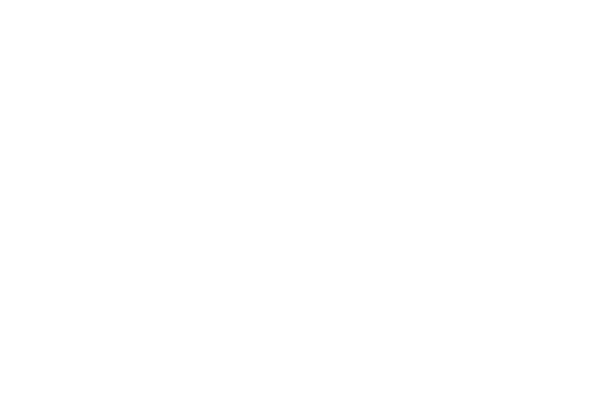 2027 AS Logo White text