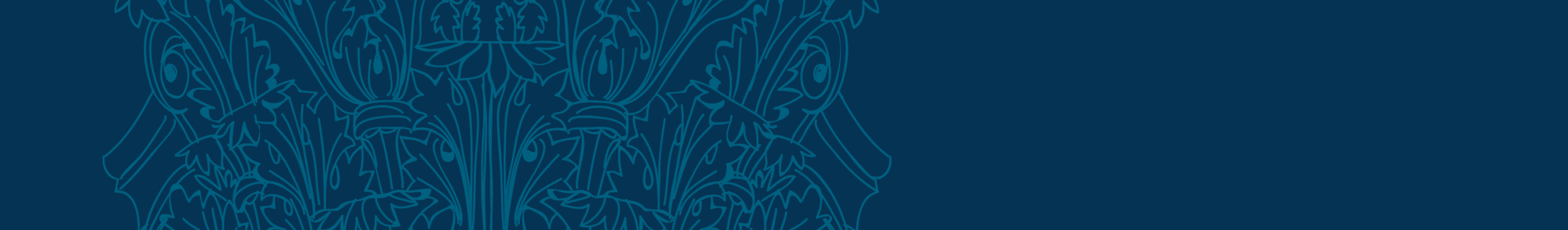 Leadership Institute Phase V Banner