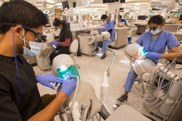 A Glimpse into the Life of a Dental Hygiene Student