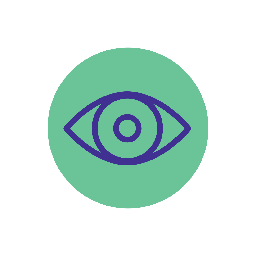 Vision icon