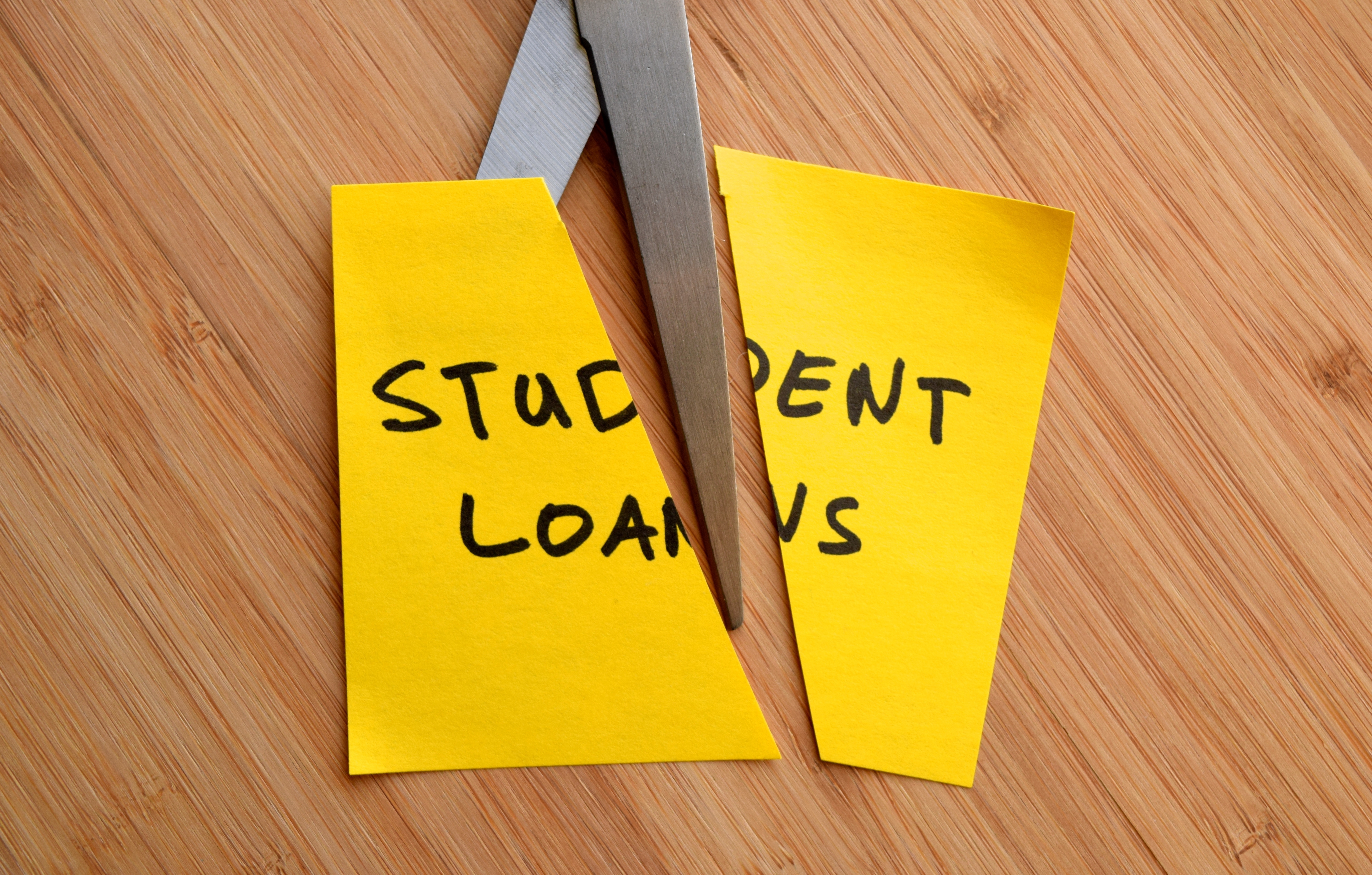 student loans Banner image